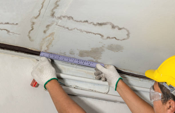 Affordable Water Damage Repair solutions in Forbes, MN